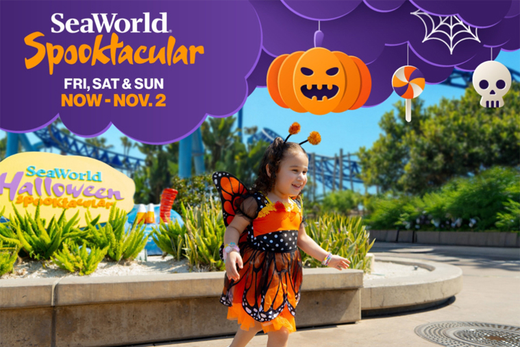 SEAWORLD HALLOWEEN SPOOKTACULAR!